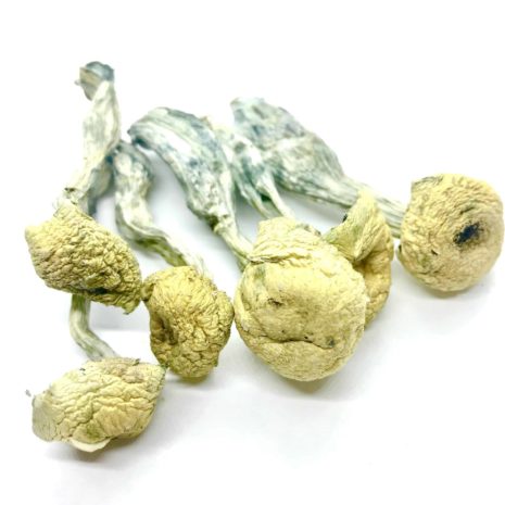 Mazatapec-scaled-465x465-1.jpg