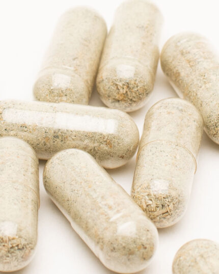 Buy Gut Health Micro Dose online.